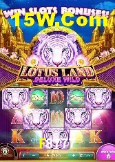 Provedores de Jogos F8777